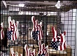 Peavey - Limited Edition USA Guitar